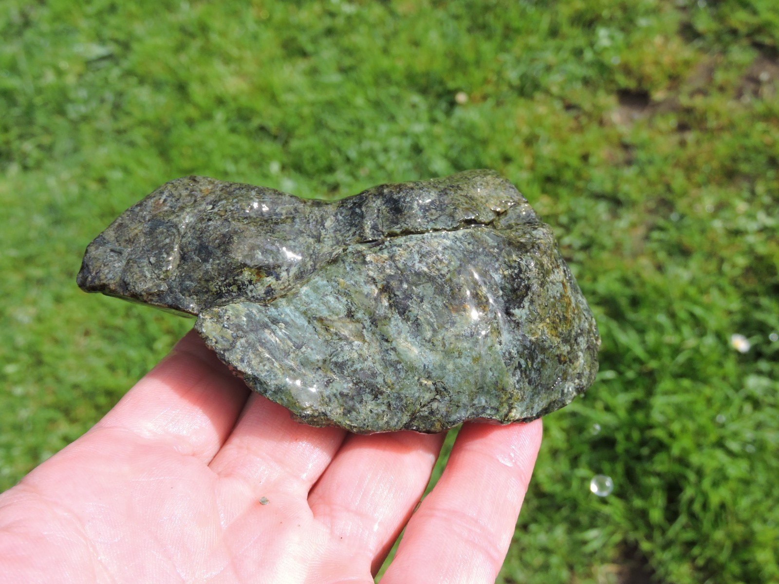 OREGON DARK GREEN SERPENTINE Rough Stones. *MAGNETIC* 100% Natural (8 lb)