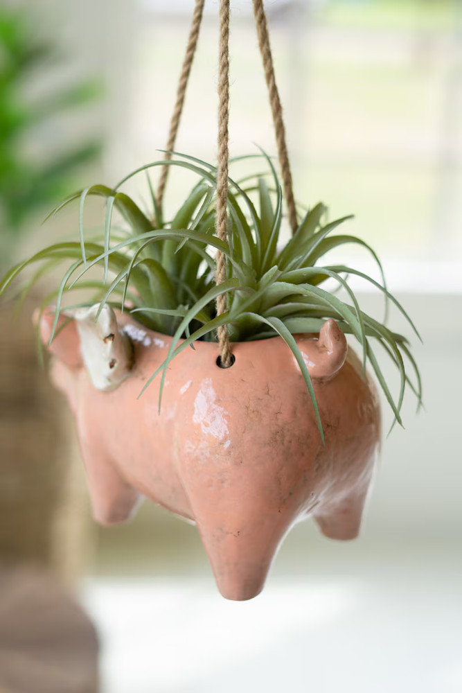 Ceramic Flying Pig Hanging Planter