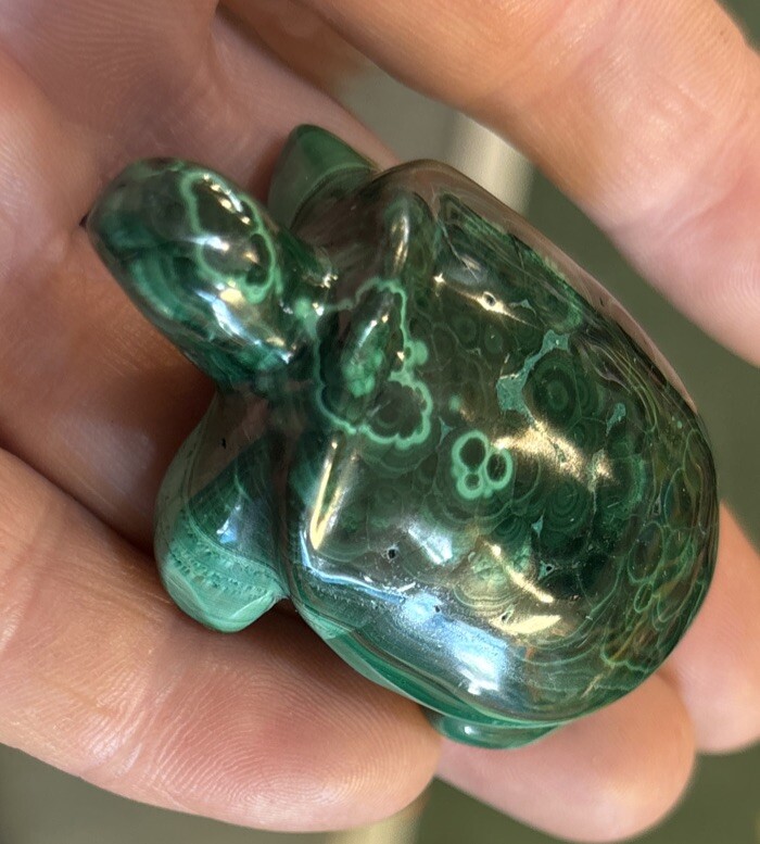 2” Malachite Turtle