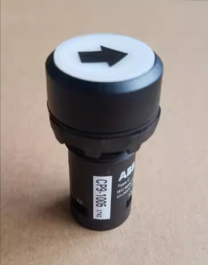 1PC New ABB Function symbol button CP9-1005 white 1NO1NC #LL