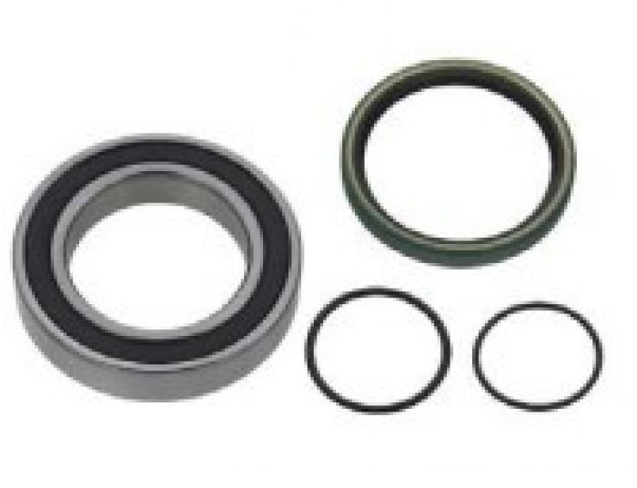 SPI Chaincase Bearing Kit - SM-03211