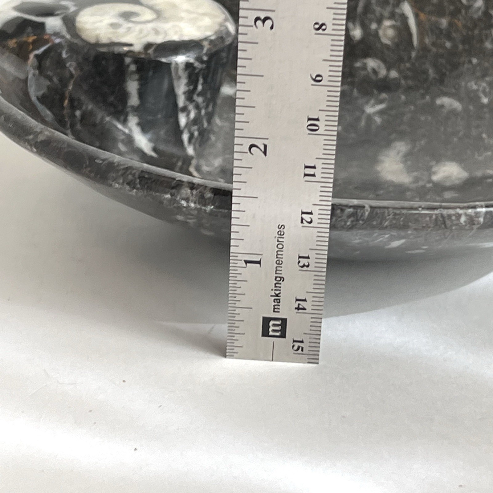 Hand Carved Ammonite Orthoceras Fossil Bowl Ashtray Trinket Jewelry Tray 7”