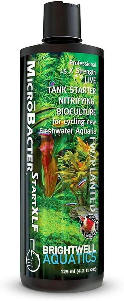 Brightwell Aquatics Microbacter Start XLF - Concentrated Freshwater Nitrifying B
