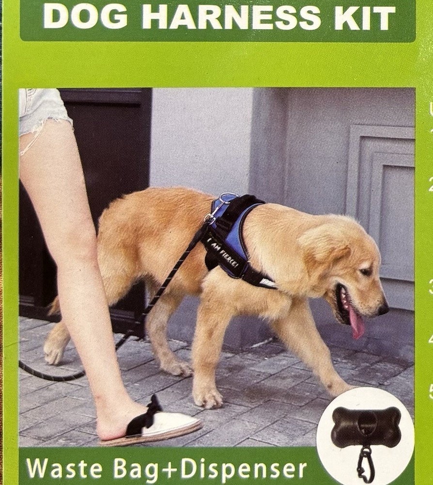 PAWFULL 🐾No Pull Reflective  D🐶G Harness KiT | BLACK