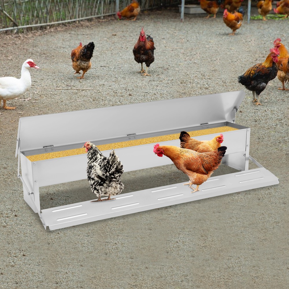 Auto Chicken Feeder Galvanized Sheet Poultry Feed Protector 22lbs Capacity SALE