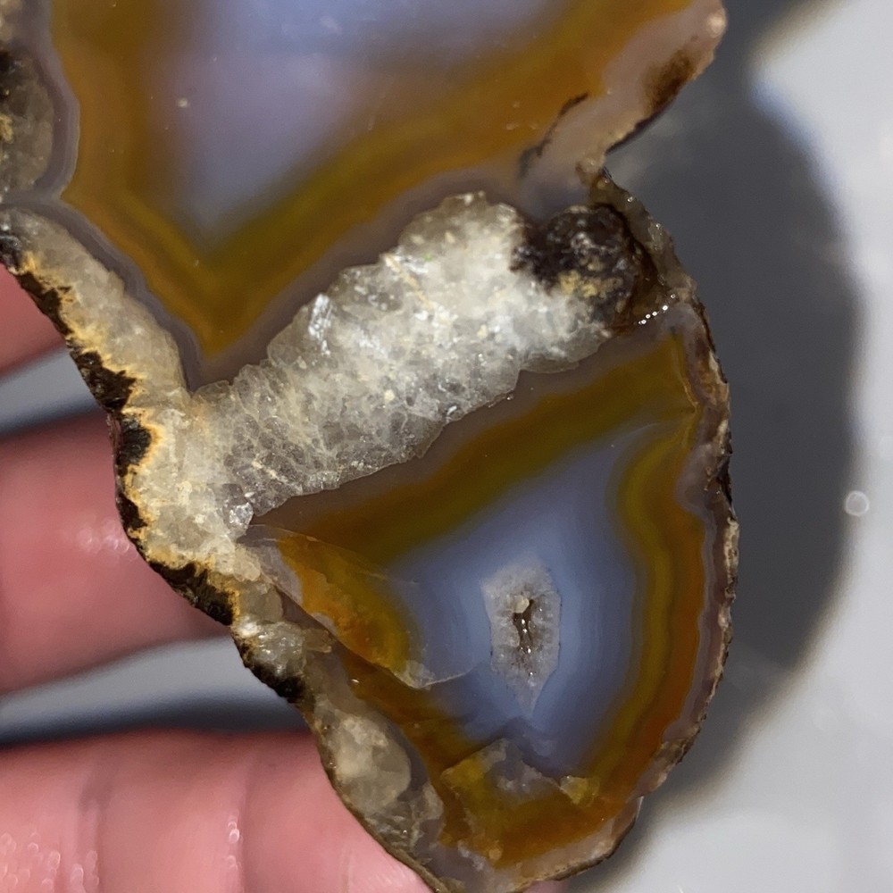 Very Unique Double Celled Agate Rough Stone 4 Oz