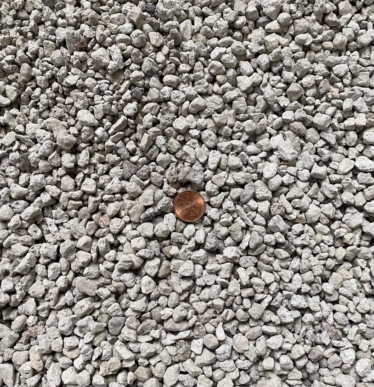 7 Gallons 3/8" Horticultural Pumice Rock Soil Amendment Succulents Cacti Bonsai