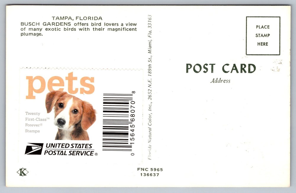 #5115 Pets Parrots FDC Maxi Card