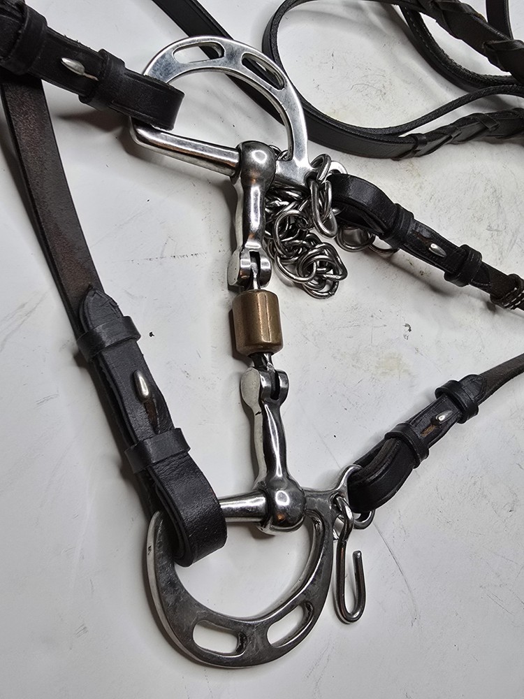 horse bridle with bit
