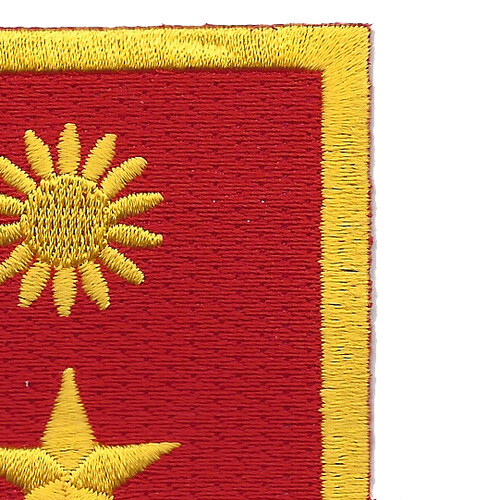 311th Cavalry Regiment Patch