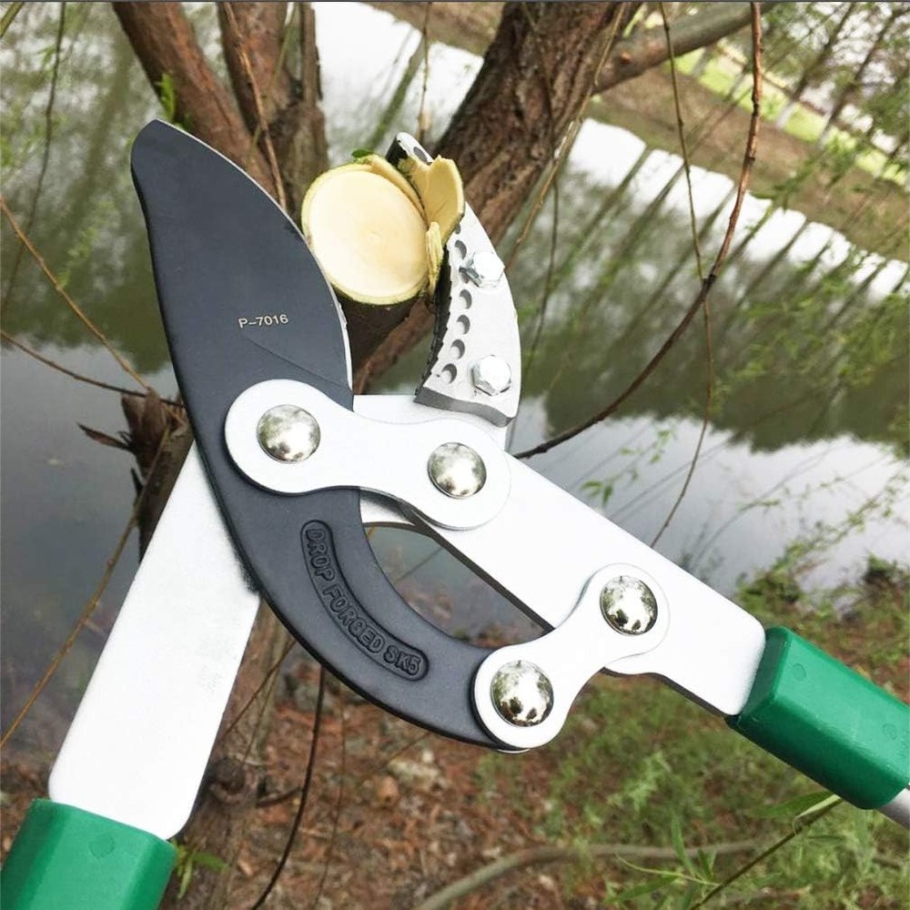 SK5 High-Performance Compound Action Anvil Lopper,Chops Thick Branches