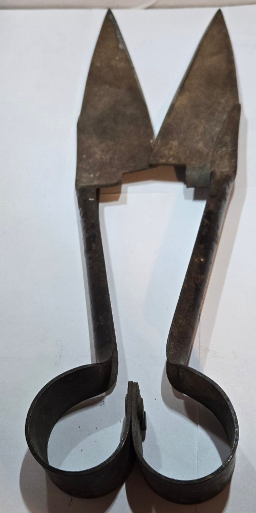 Vintage Rare Sheep Shears, Two piece riveted 13 1/2" Still Functioning and Sharp