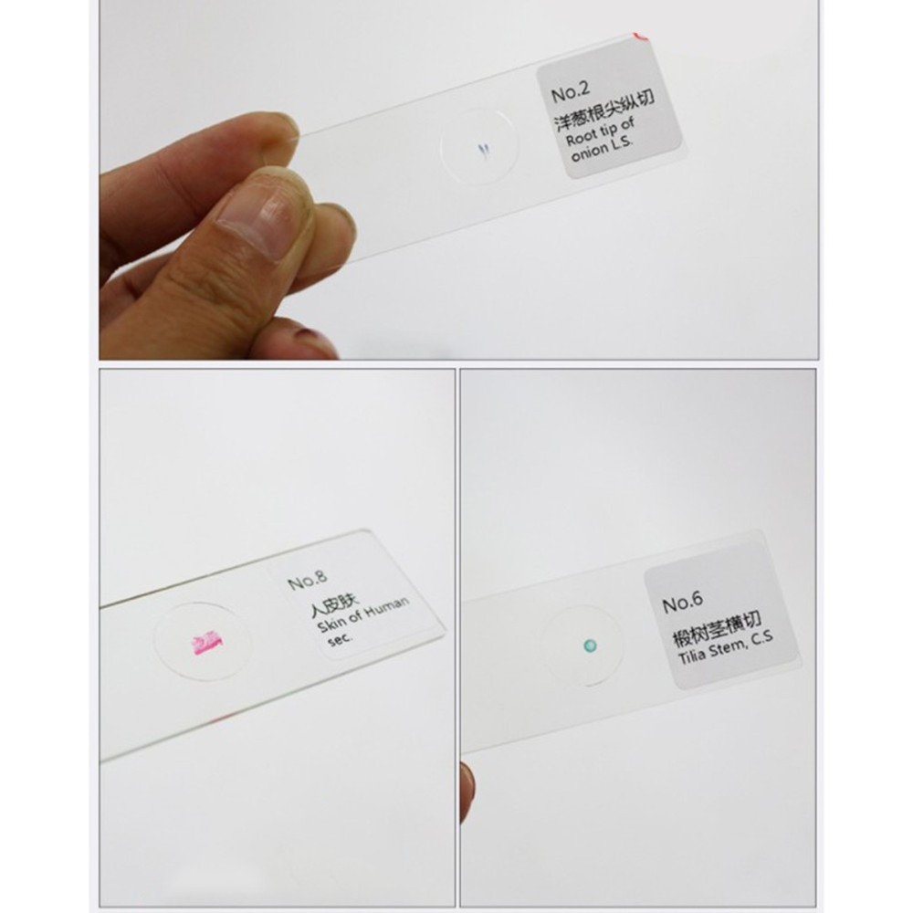 10 PCS/Set Specimen Slides for Microscope Calibration Sample Biology Lab