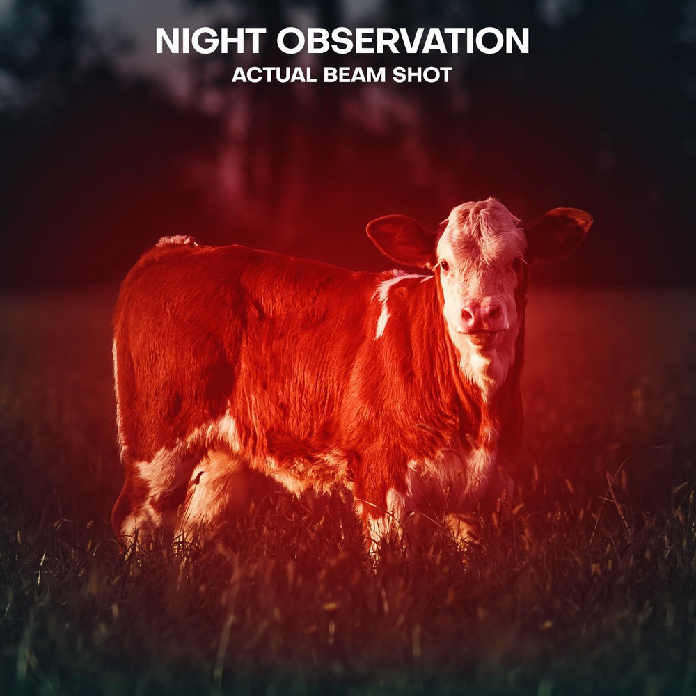 2 Pack Red Flashlight LED Single Mode Light 1 Mode LED Torch Scalable Red Light