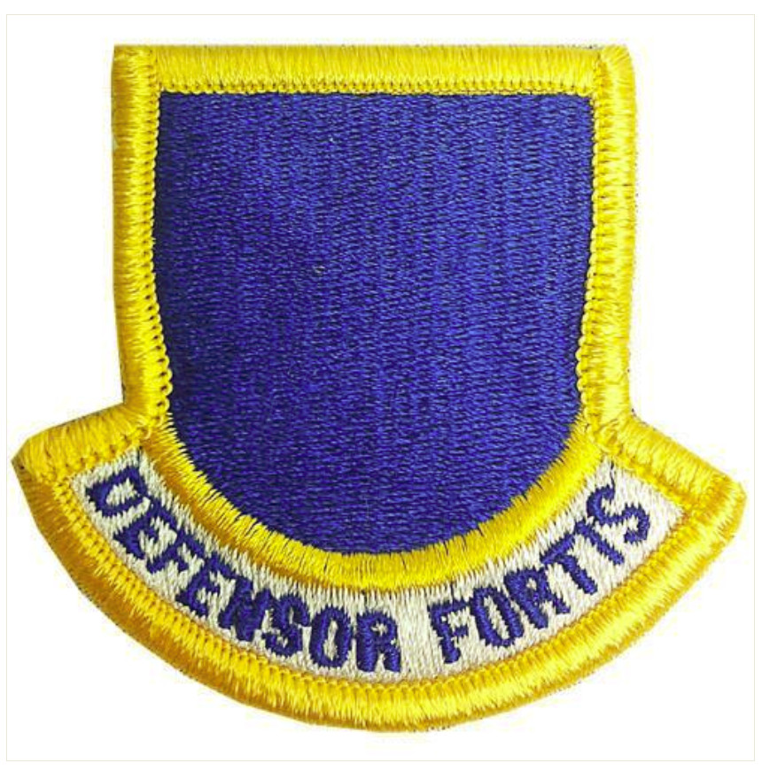 Vanguard AIR FORCE PATCH: SECURITY FORCE OFFICER - COLOR
