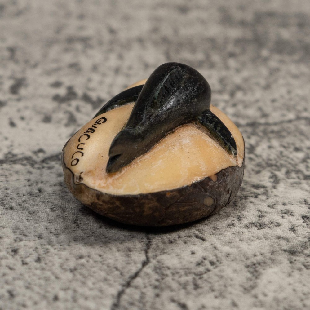 Black Dolphin Tagua Carving