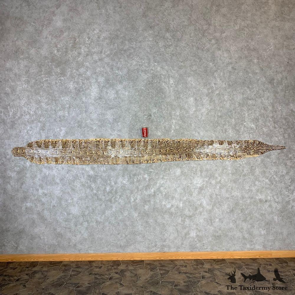 #21975 P | African Rock Python Snake Skin Rug Mount For Sale