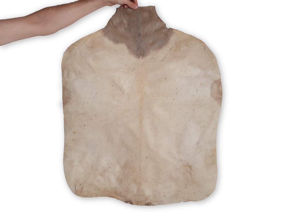 Goat Rawhide Skin. Full Rawhide. Genuine Leather. Goathide.