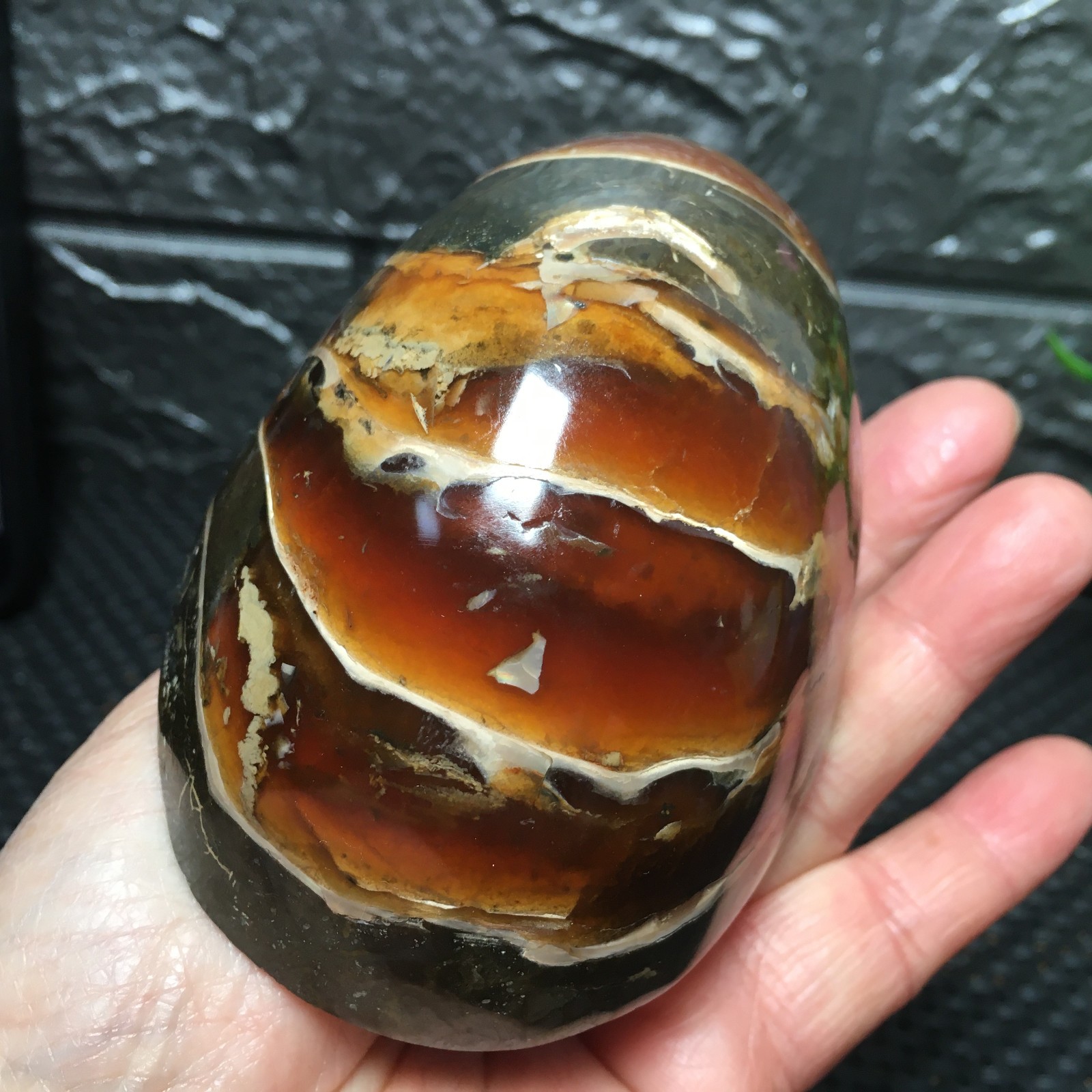 567g Natural polishing Ammonite crystal specimens fb1037