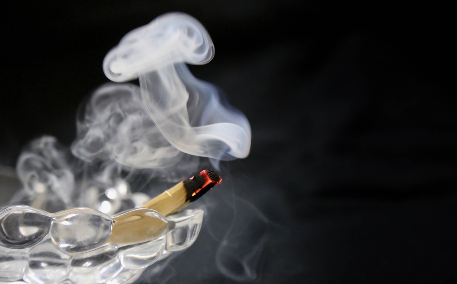 Palo Santo 1 LB Bag (75 STICKS APPROX - 4+inches long)