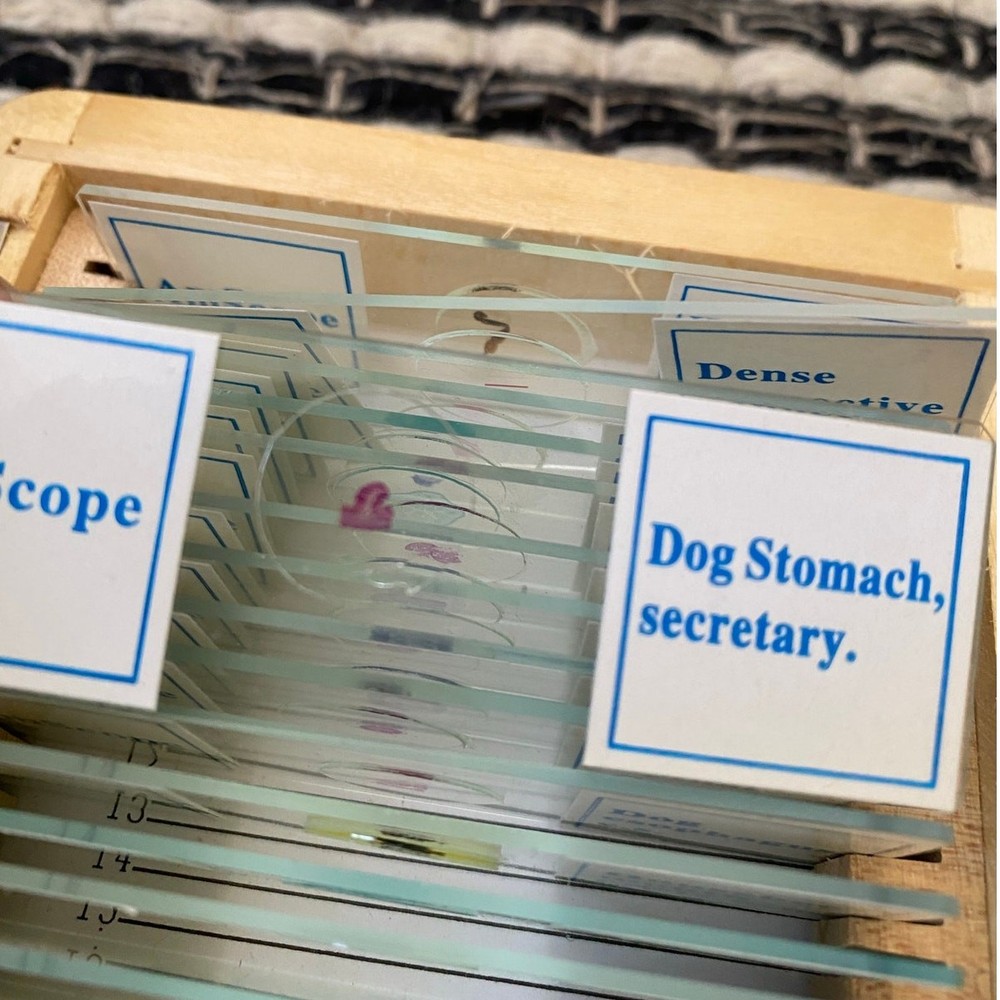 AmScope 25 Piece Set of Prepared Microscope Glass Slide Box