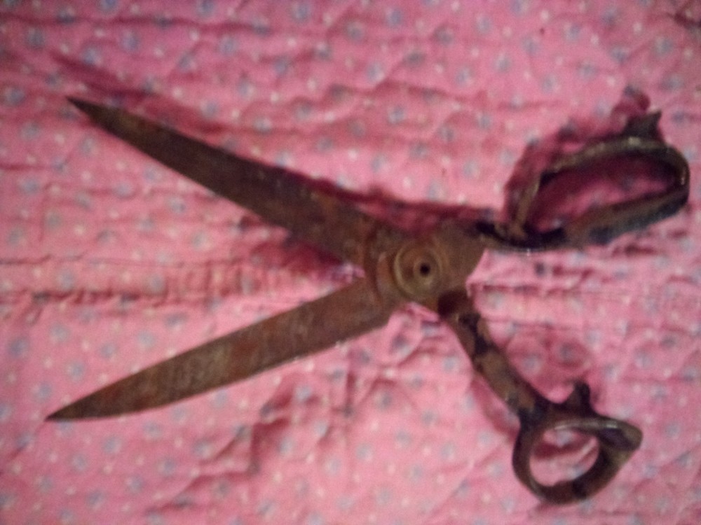 Clauss Scissors. Model: #4N.