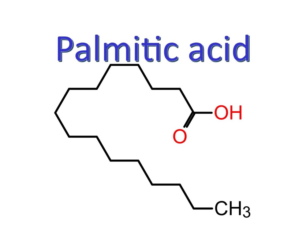 Palmitic acid, CAS 57-10-3