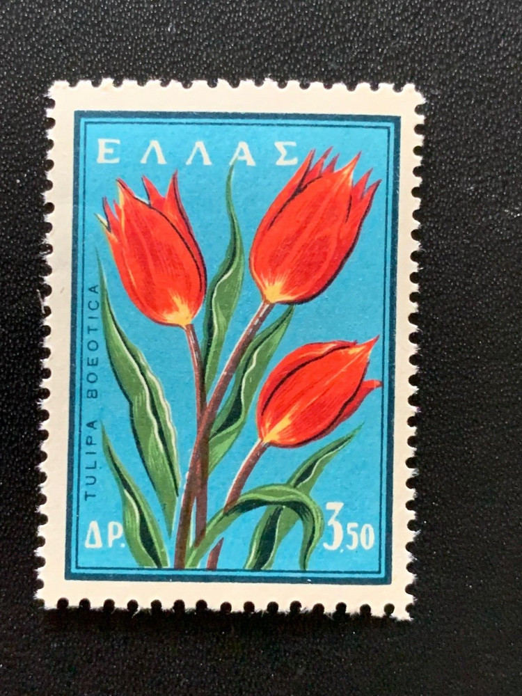 Greece 630 MNH