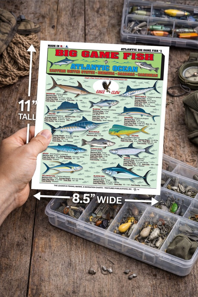 Atlantic Ocean Big Game Fish Identification #1 - Waterproof Quick Reference Guid