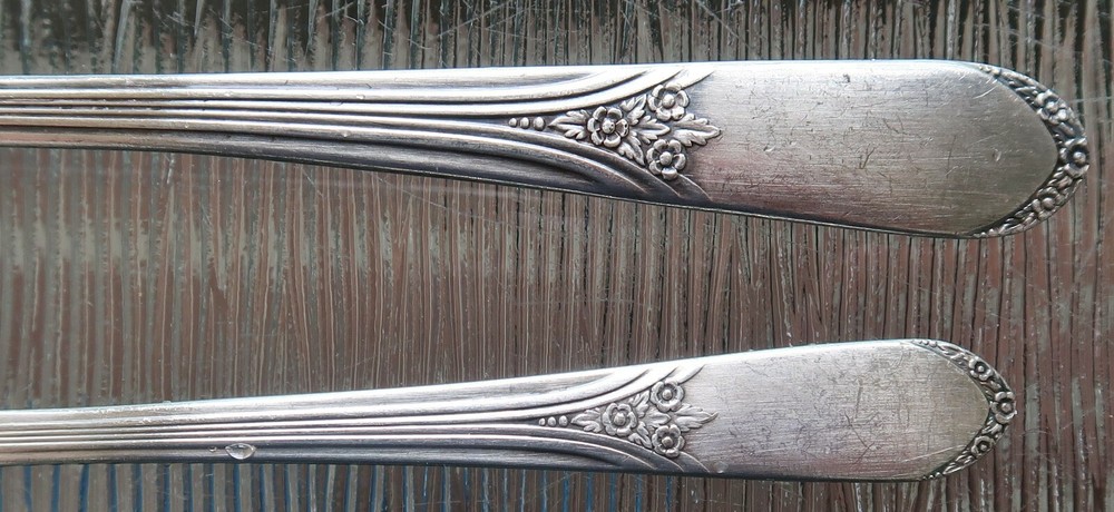 WM. ROGERS International DEVONSHIRE Soup SPOON & Teaspoon