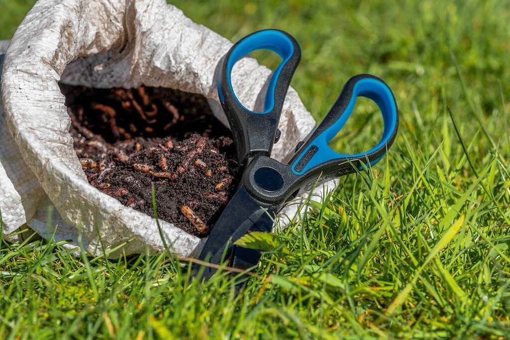 Preston Worm Scissors / Fishing Bait Choppa