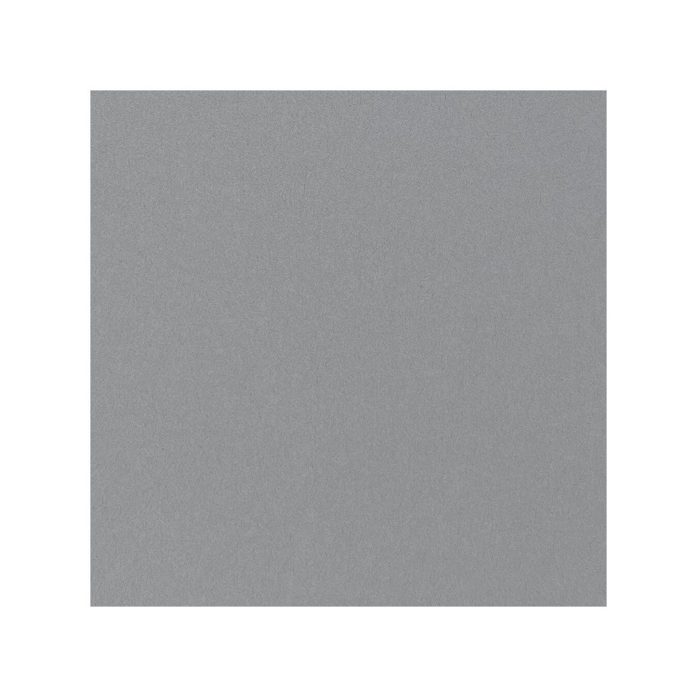 Prism Papers, Grey Cardstock, 12", 2 Pgs, Subtle Texture, Quality, Useful Basics