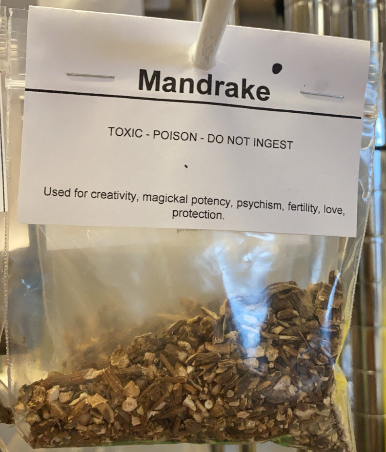 mandrake root raiz de mandrago