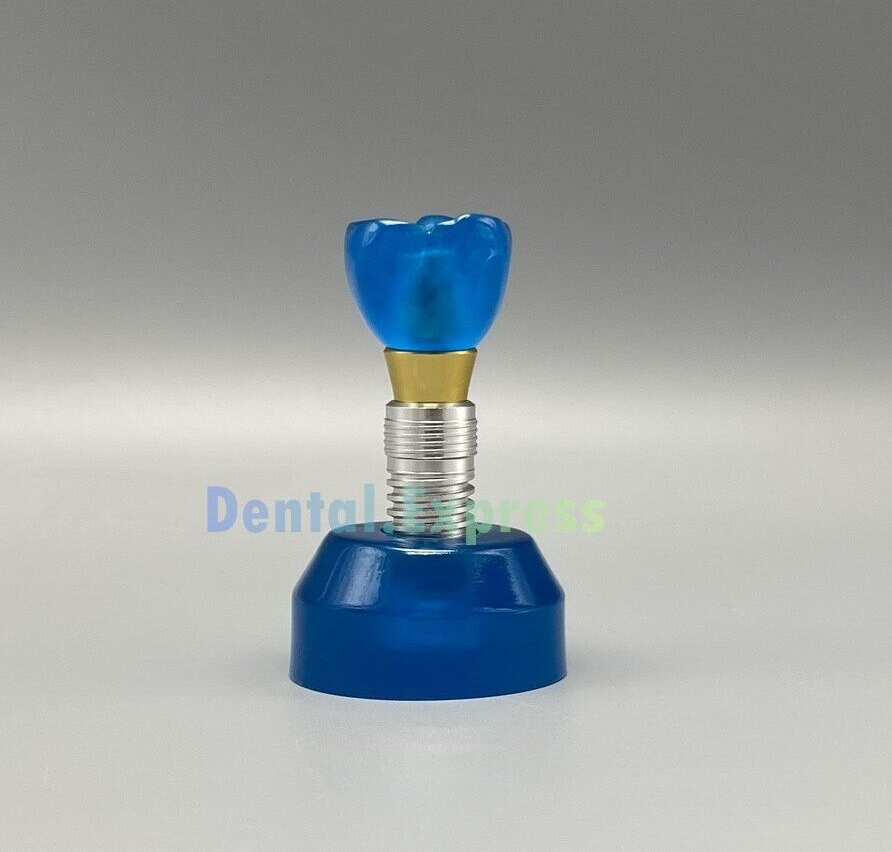 Dental Detachable Implant Model Teeth Models Study Teach Demonstration M2020