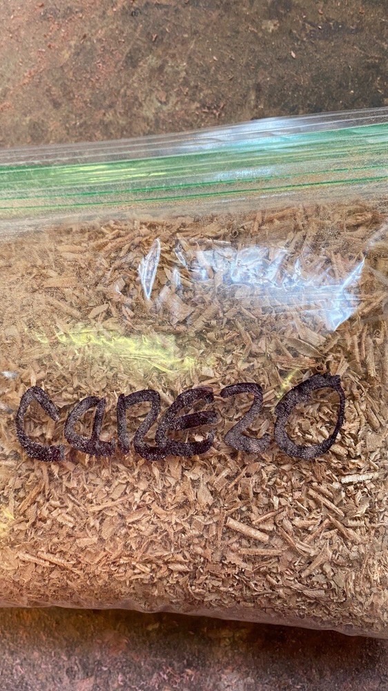 Igui Cerezo Para Carga Ifa