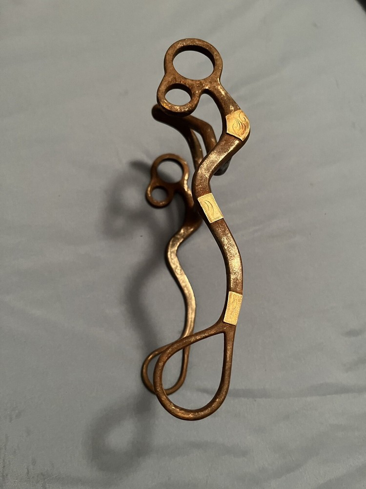 Solid Steel Slant Back Cathedral 5” Western Bit Silver Sided