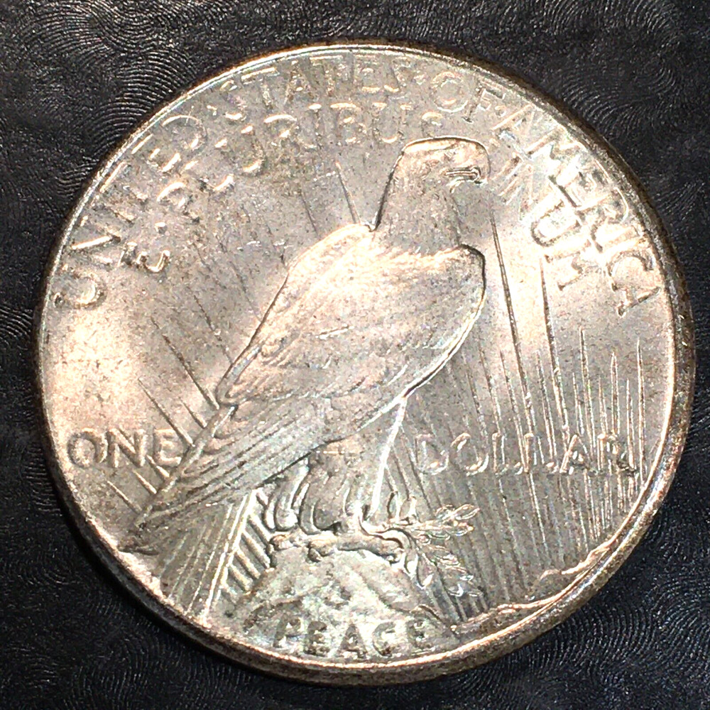 1925 Peace Silver Dollar - High Quality Scans #N460