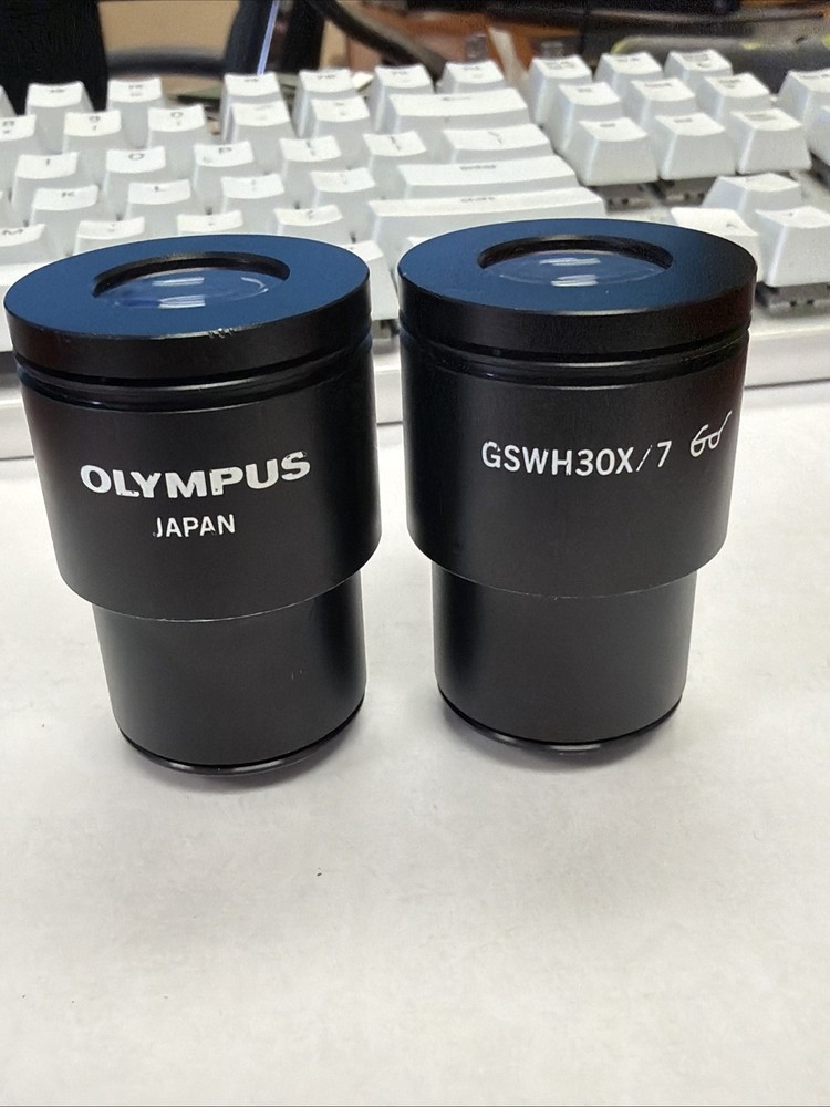 Olympus Microscope Eyepieces Pair (2) GSWH30X/7