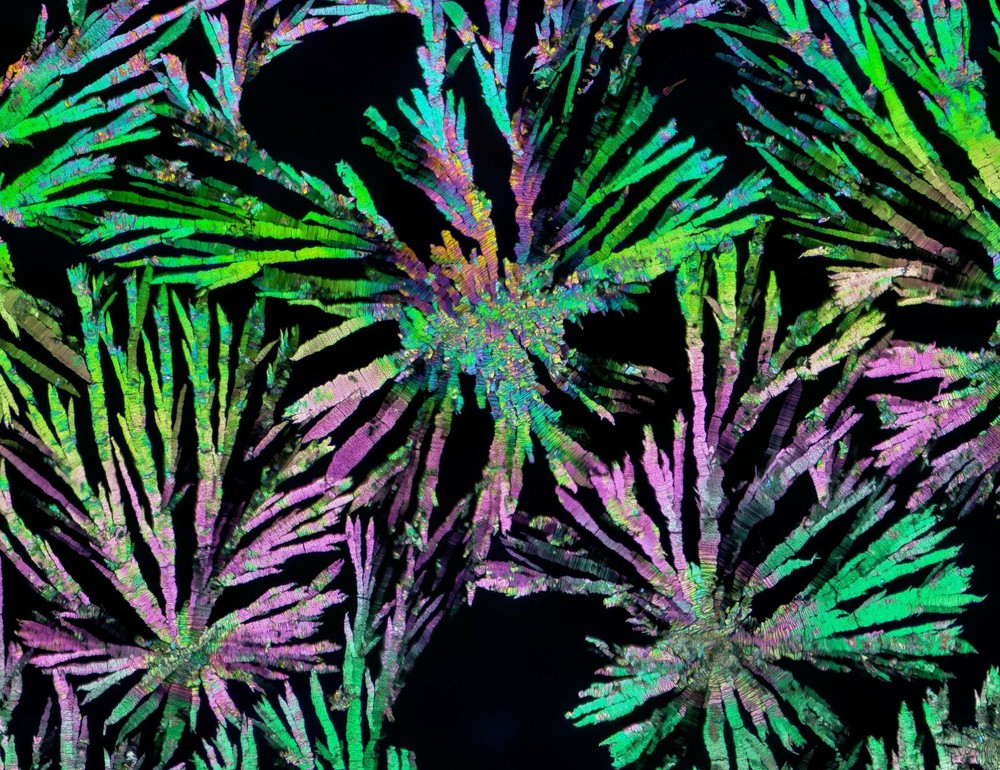 Microscope slide for polarization, THEOBROMINE