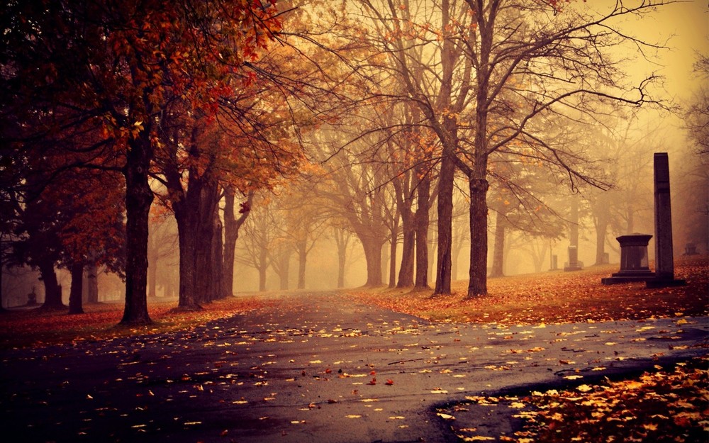 Landscape trees fall mist Custom Gaming Mat Desk
