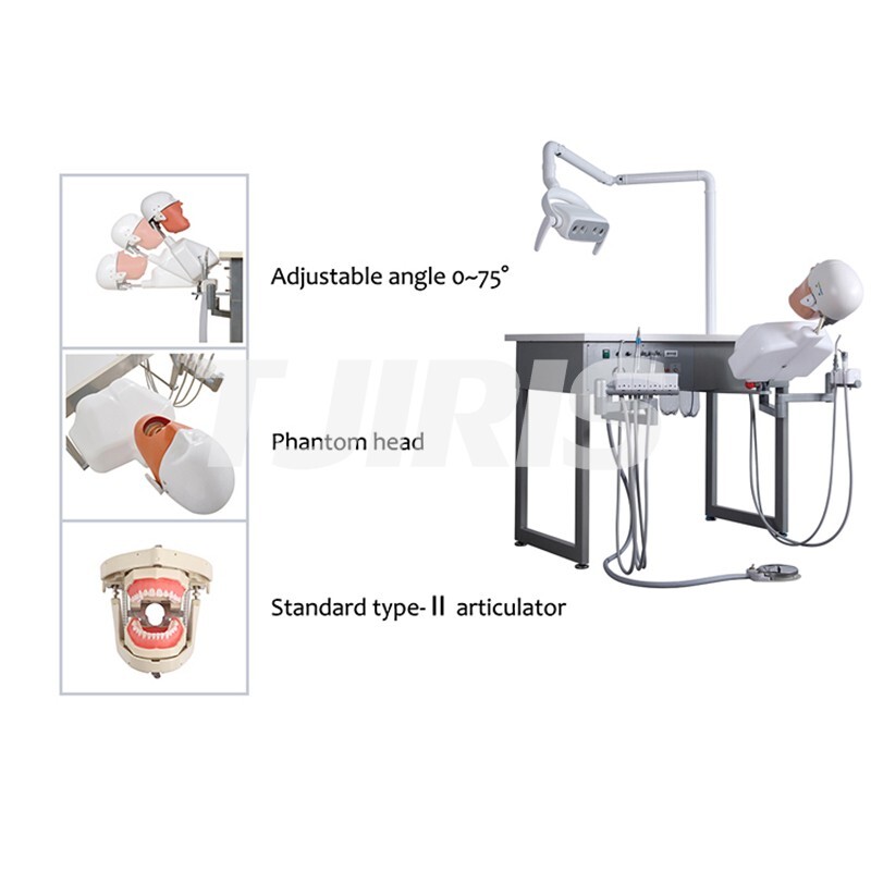 Dental Practice Simulator System Teaching Device Patient Manikin Phantom Model
