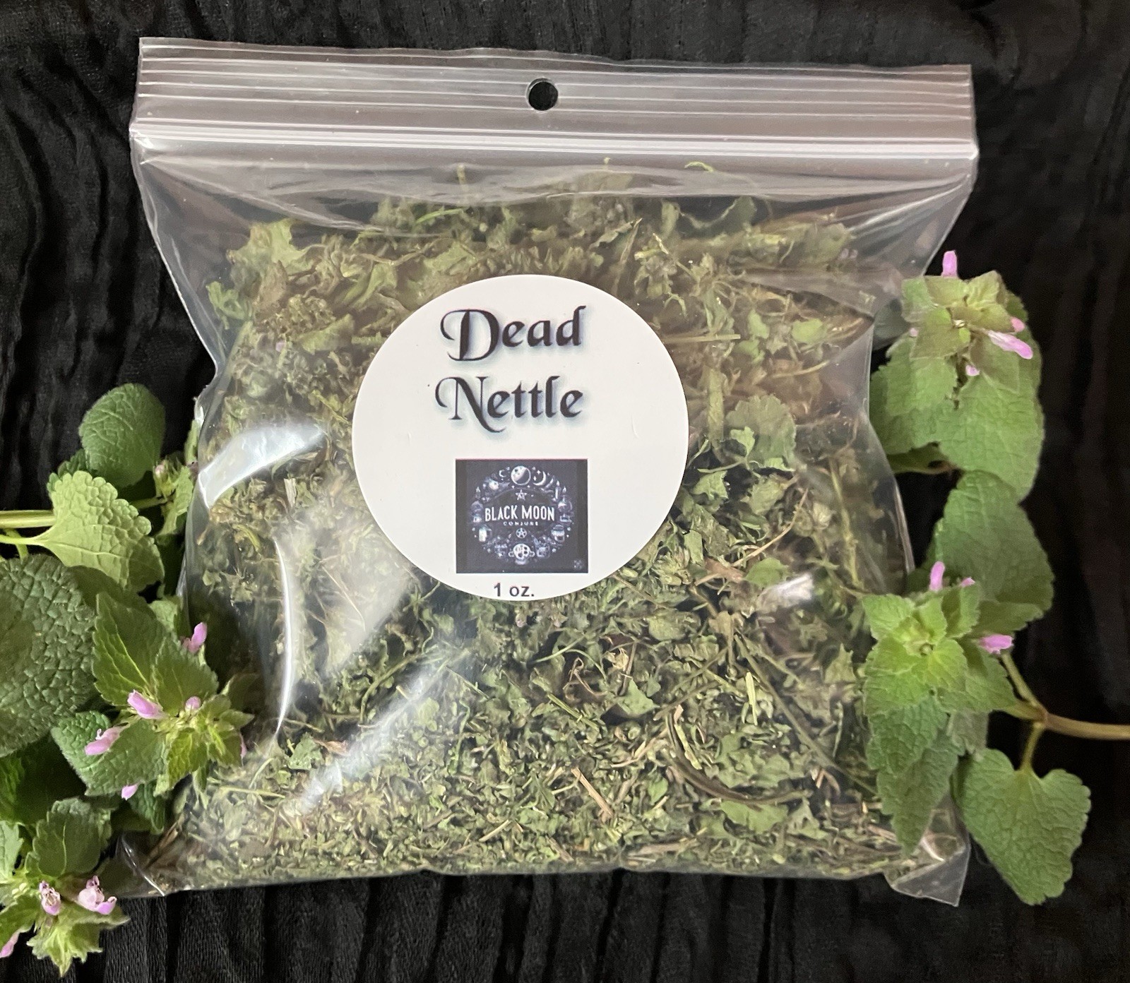 Purple Dead Nettle: NFC, Dried Herb for Ritual Use, Protection, Abundance
