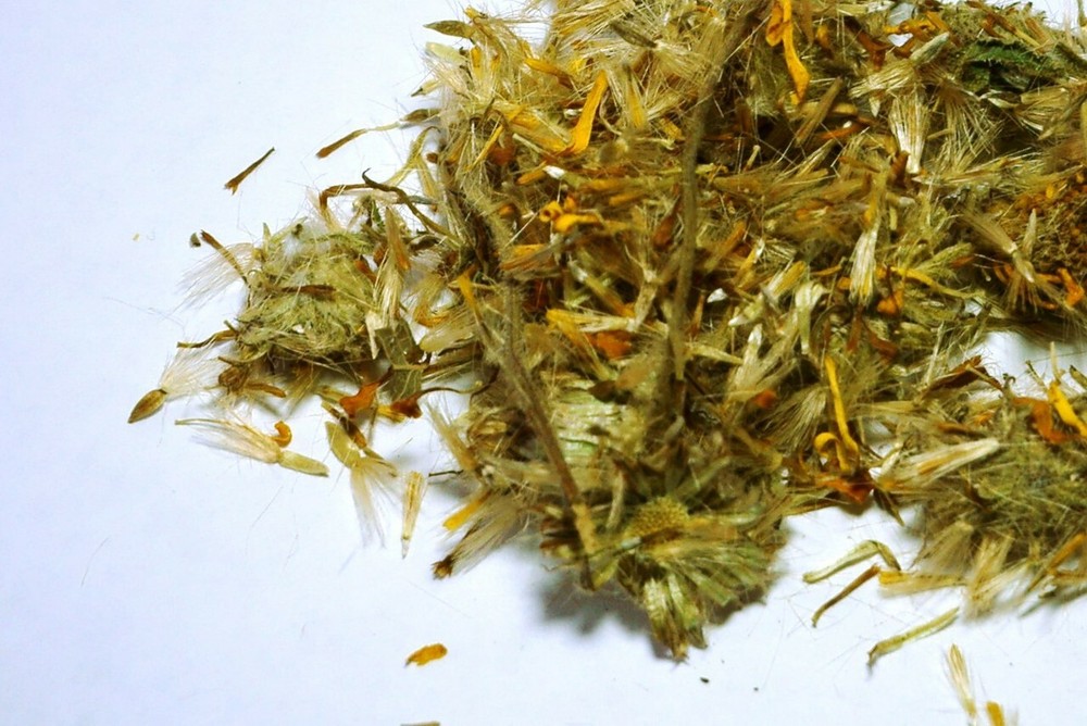 Arnica Flower Whole