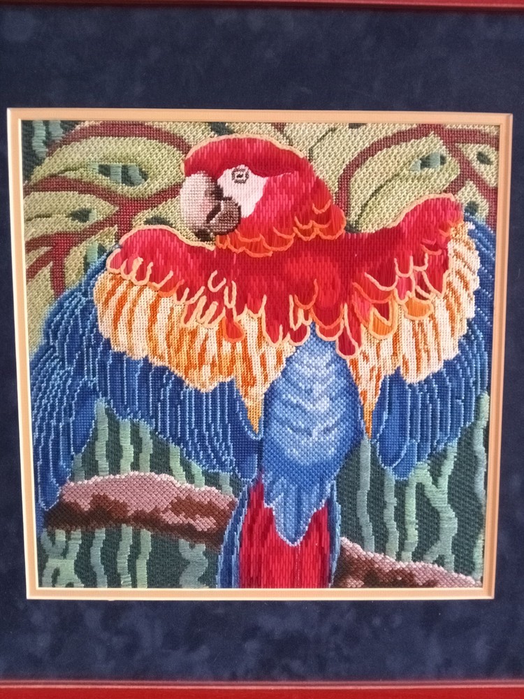 Vintage Framed Needle Work Parrot