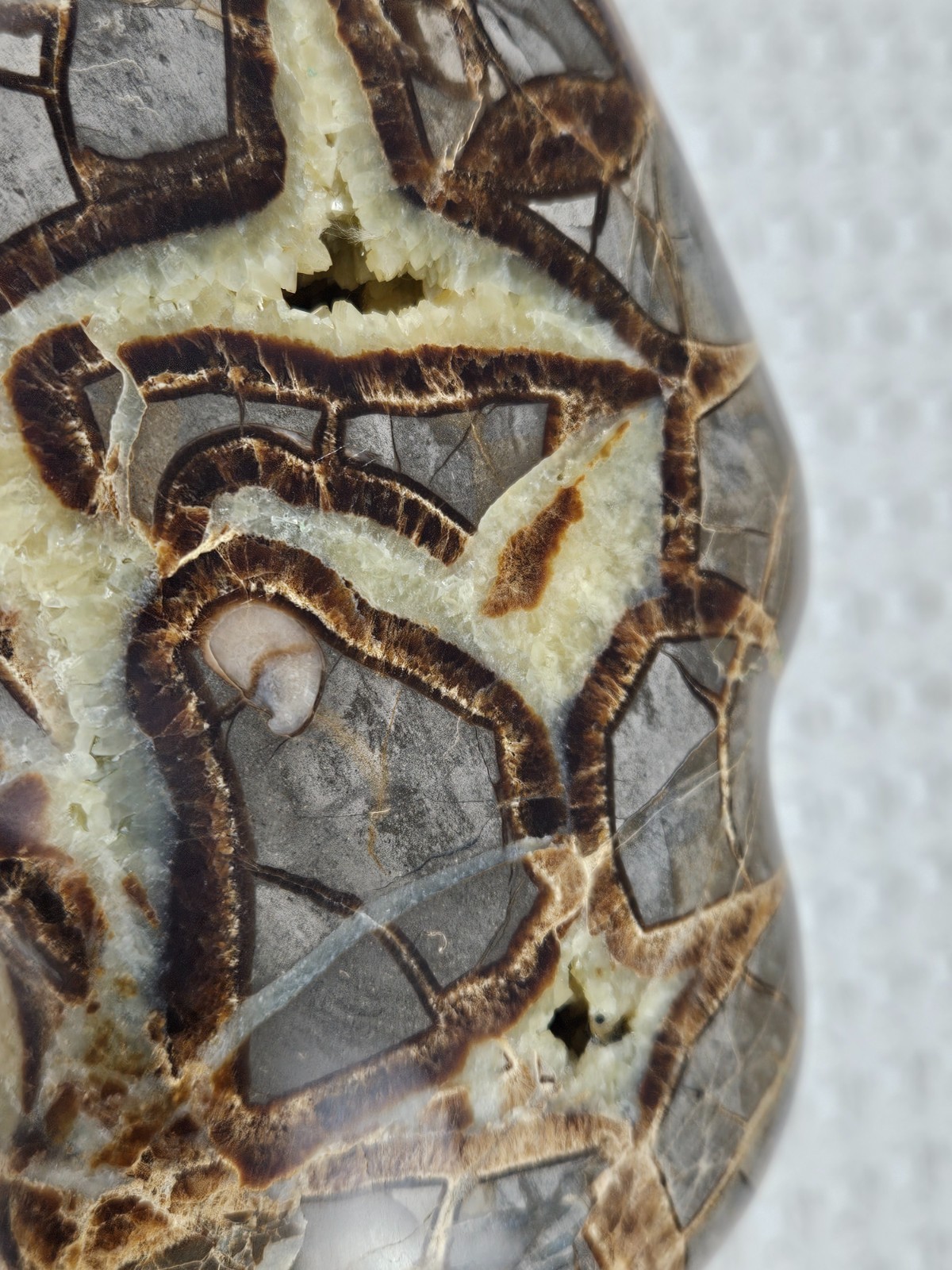 Septarian Nodule Geode Buffalo Bison Carved Natural Stone Crystal Zuni Decor 6"