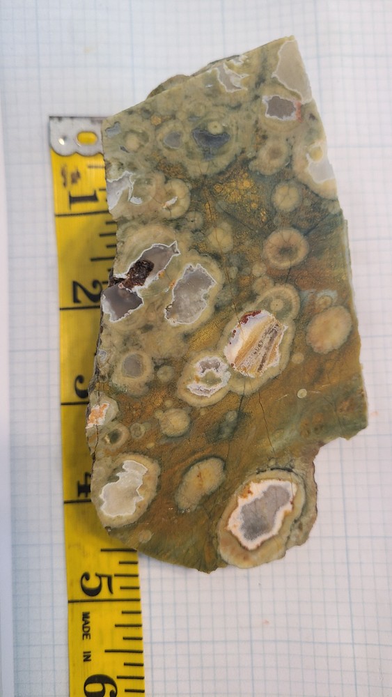 Rain Forest Jasper Rough