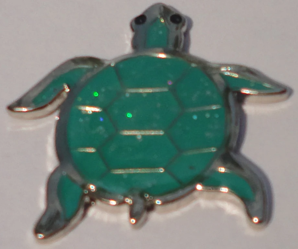 Turtle Ball Marker