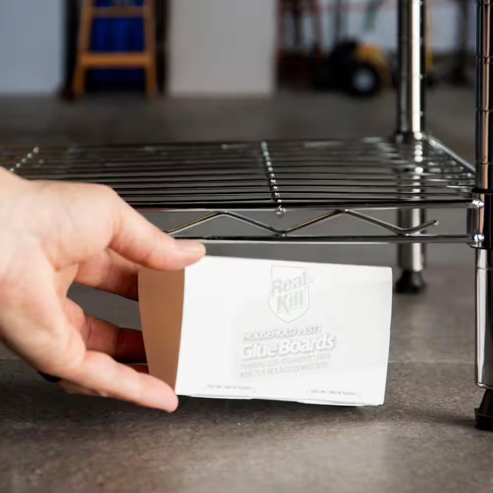 Household Pest Glue Boards (2-Pack)