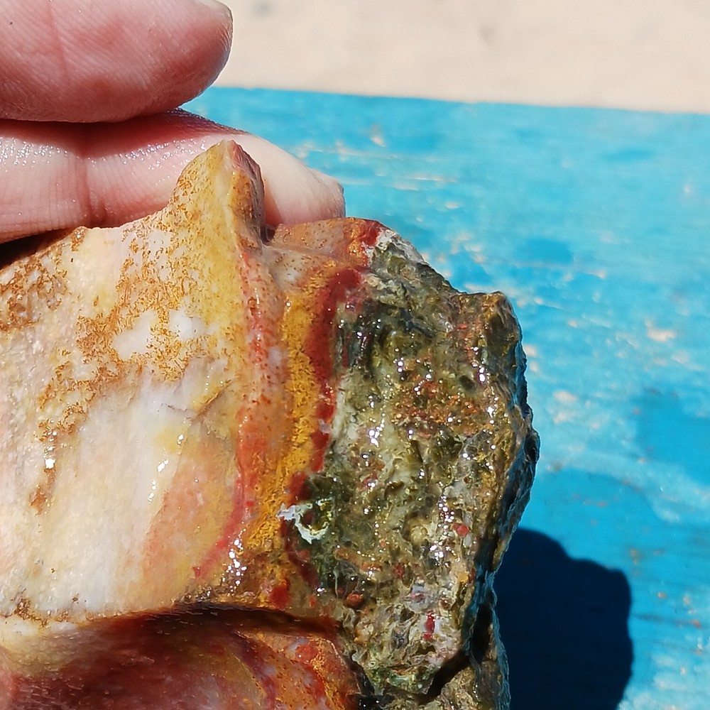Murray Mountain Jasper Unique Rough Lapidary Potential