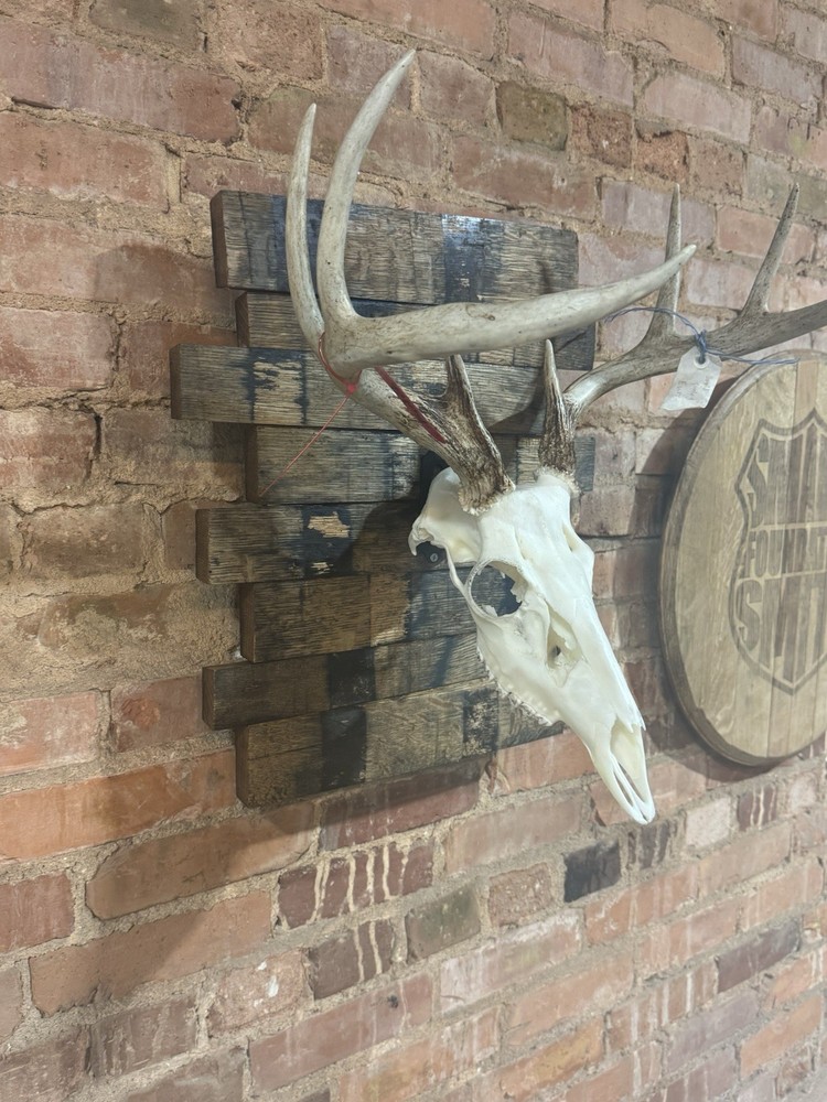 Rustic Bourbon Barrel Broken Stave Skull Plaques “Free Shipping”